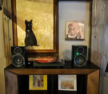 Dujiangyan Hotel | Shishe Spring Designer Homestay