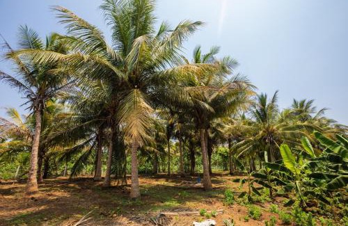 Kumbakonam Villa | Shiv Sakthi villa