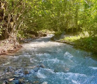 Racha-Lechkhumi and Lower Svaneti Apartment | Shoda Valley შოდა ველი
