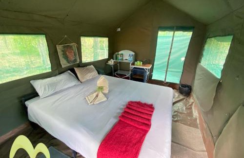 Maun Other | Shokomokwa Camping Resort