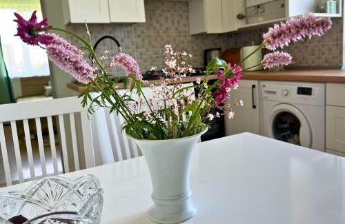 Klaipeda county Apartment | Short stay next to Palanga