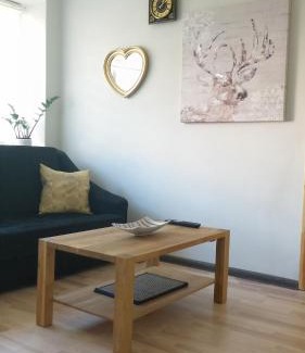 Siauliai City Center Apartment | Siauliai Apartments - Ežero