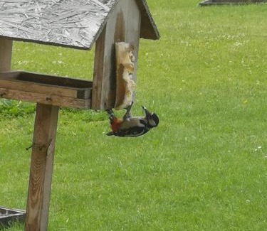 Bystrzyca Kłodzka House | Siedlisko Waliszówka