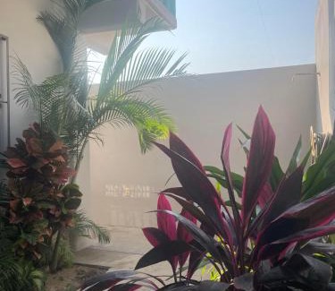 Santa Maria Apartment | Siete Mares