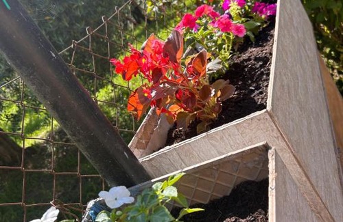 Paliano Villa | Sigma House.