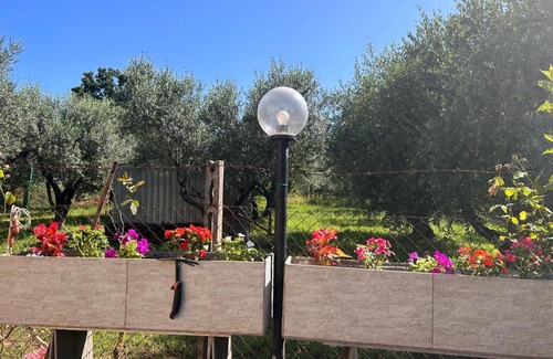 Paliano Villa | Sigma House.