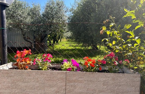 Paliano Villa | Sigma House.