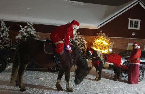 Seinajoki House | Siirilän tila