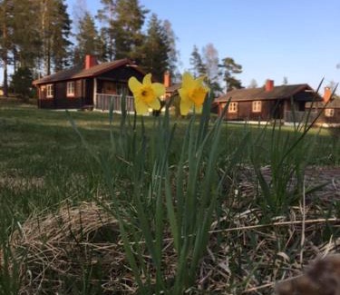 Siljansnas Other | Siljansnäs Stugby