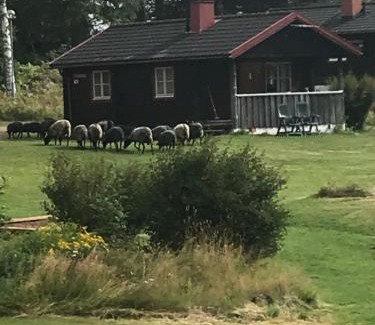 Siljansnas Other | Siljansnäs Stugby
