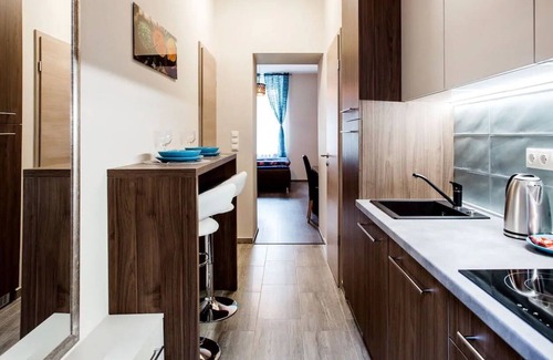 Erzsebetvaros Apartment | Silver Aparmant