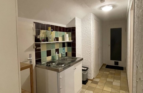 Reutlingen-Sickenhausen Apartment | Simple attic apartment with pantry kitchen NO SHOWER NO SHOWER