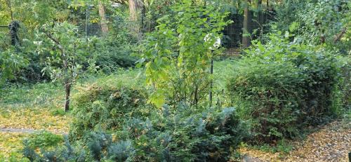 Kreuzberg Other | Simply GENIUS - Camping