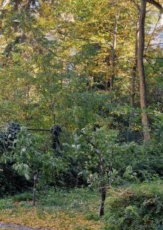 Kreuzberg Other | Simply GENIUS - Camping