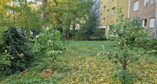 Kreuzberg Other | Simply GENIUS - Camping