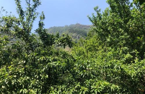 Sa Pa Ski Chalet | `Sin Chai Homestay