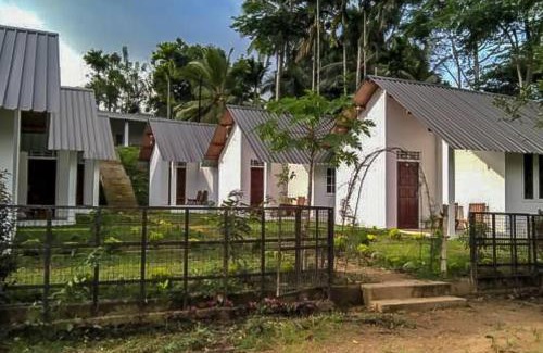 Kotapola Bed & Breakfast | Sinharaja Forest Sanctuary