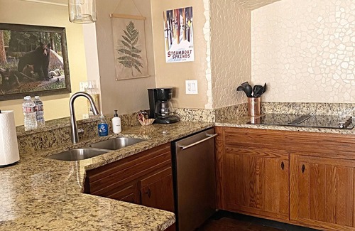 Steamboat Springs Condo | Ski-in Location Steps from the Gondola!