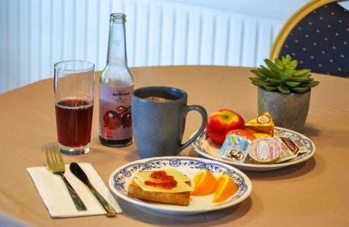 Viborg Apartment | Skovly