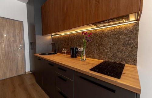 Druskininkai Apartment | Sky Pool Escape Luxury Apartment in Druskininkai Center