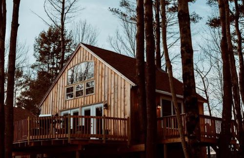 Belgrade House | SkyView treehouse