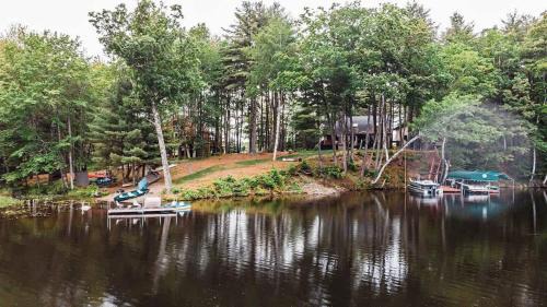 Belgrade House | SkyView treehouse