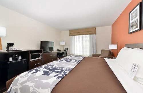 Indianapolis Hotel | Sleep Inn & Suites And Conference Center Downtown
