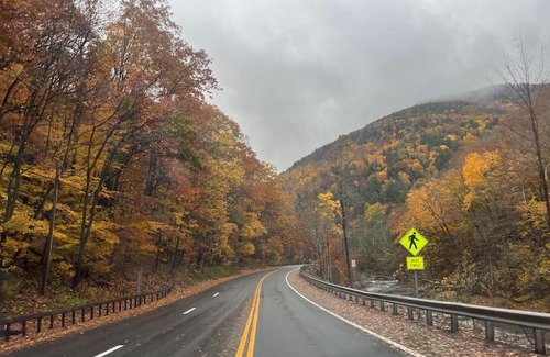 Hunter Apartment | Slopeside Condo with indoor fireplace