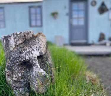 Skutustadir Villa | Slow Travel Mývatn - Óli's Homestay-Private house v