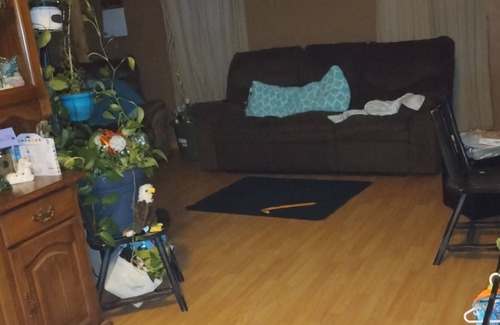 Loves Park House | Small bungalow with hot tub near chicago