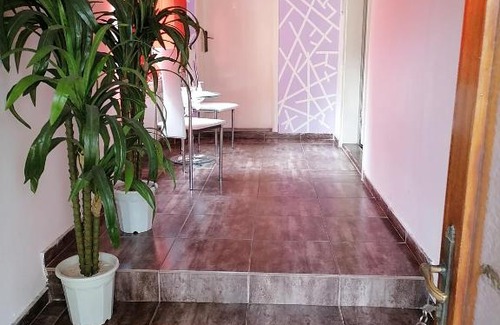 Palic House | Smestaj u okviru domacinstva SOBE SOSA