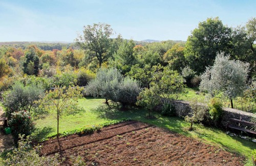 Stranici kod Lovreca Apartment | Smilja with 1 bedrooms and 1.5 bathrooms