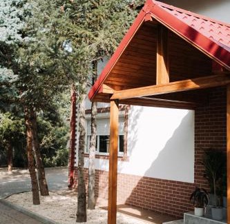 Ciolpani Villa | Snagov Forest Villa