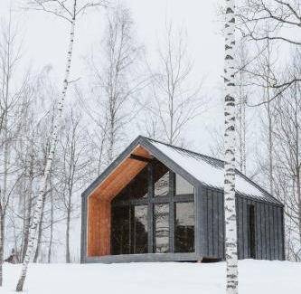 Madona Villa | Sniegi design cabin with sauna