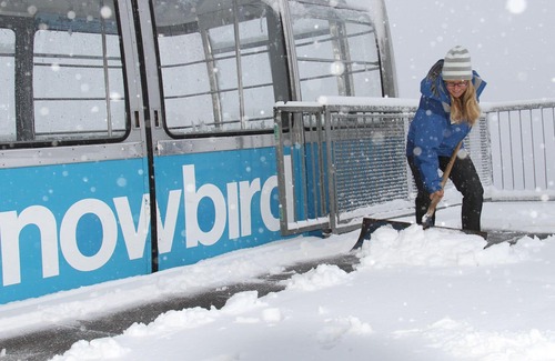 Salt Lake Mountain Resorts Apartment | Snowbird Cliff Club - Feb 24-Mar 3, 2023 (or April 1-8, 2023)