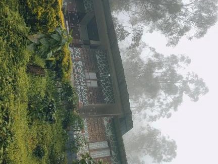 Kannan Devan Hills Apartment | Snowdropshomestay