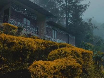 Kannan Devan Hills Apartment | Snowdropshomestay