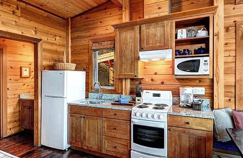 Friday Harbor Cabin | Snug Harbor Resort and Marina - One Bedroom Waterfront Cabin Handicap Access