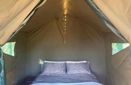 Maanhaarand Other | Soetvlei Tented Camp