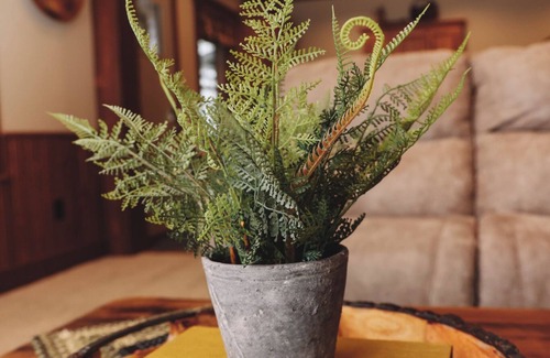 Dundee Cabin | Sojourner's Lodge & Log Cabin Suites