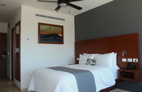 Palmilla Hotel | Sol de Cabo Hotel