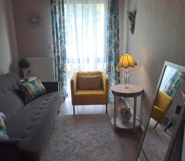 Inowroclaw Apartment | Solankowe Zacisze