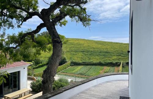 Livramento House | Solar Branco Eco Estate