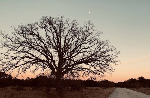 Llano RV Rental | Solar eclipse campsite. Bring your tent!