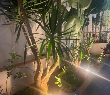 El Mouradia Apartment | soleil et voyage