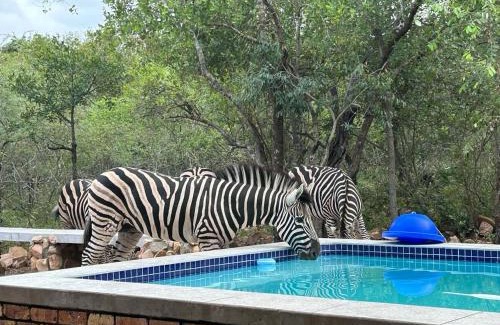 Marloth Park House | Sonador Bush House