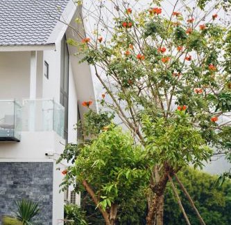 Soc Son Villa | Song Đan Villa