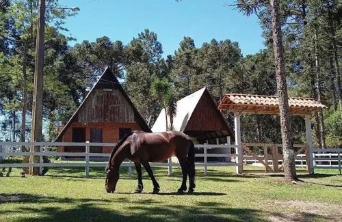 Mafra Apartment | Sonnenblumen chalet