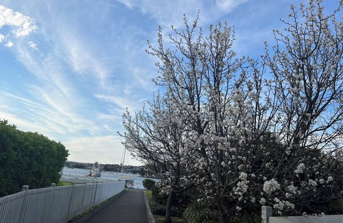 Mortlake Apartment | Soothing 2-bedroom apartment with great view in Mortlake