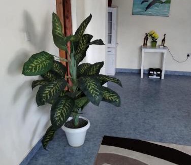 Watamu Apartment | Sophia's Place